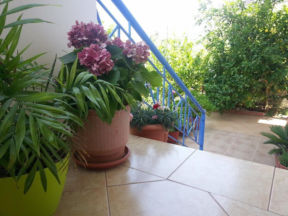 Vita Apartment - Spacious Garden And Balcony 5 Min To Beach & Center Ksamil Exterior photo